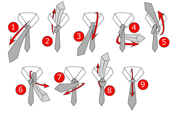 Windsor knot discount